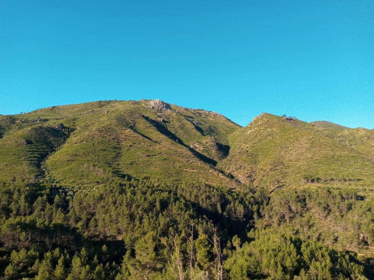 Vakantiehuis Pineros
